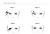 Four magnet magnet false eyelashes