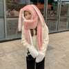 Ladies Fleece Warm Scarf Gloves Hooded